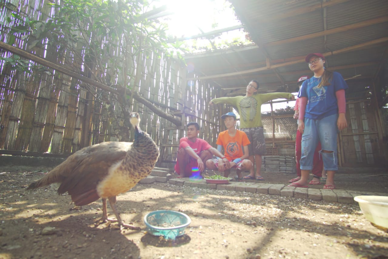 Alam Mengajar 1